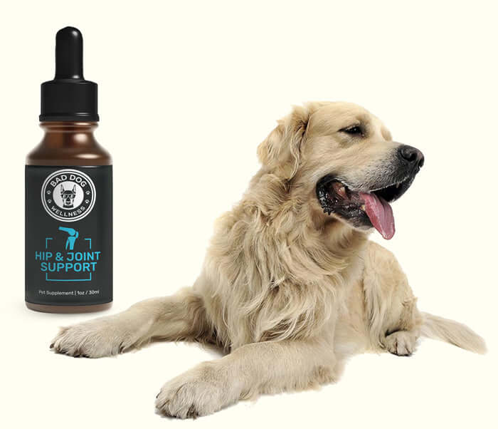 (Bad dog relief reviews)