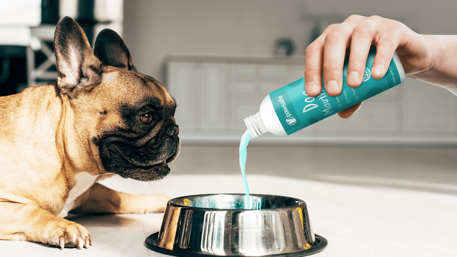 Pawsafe Mouthwash Reviews:(New Update) Is This Dog Mouthwash Worth The ...