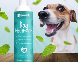 pawsafe mouthwash for you dog dental health