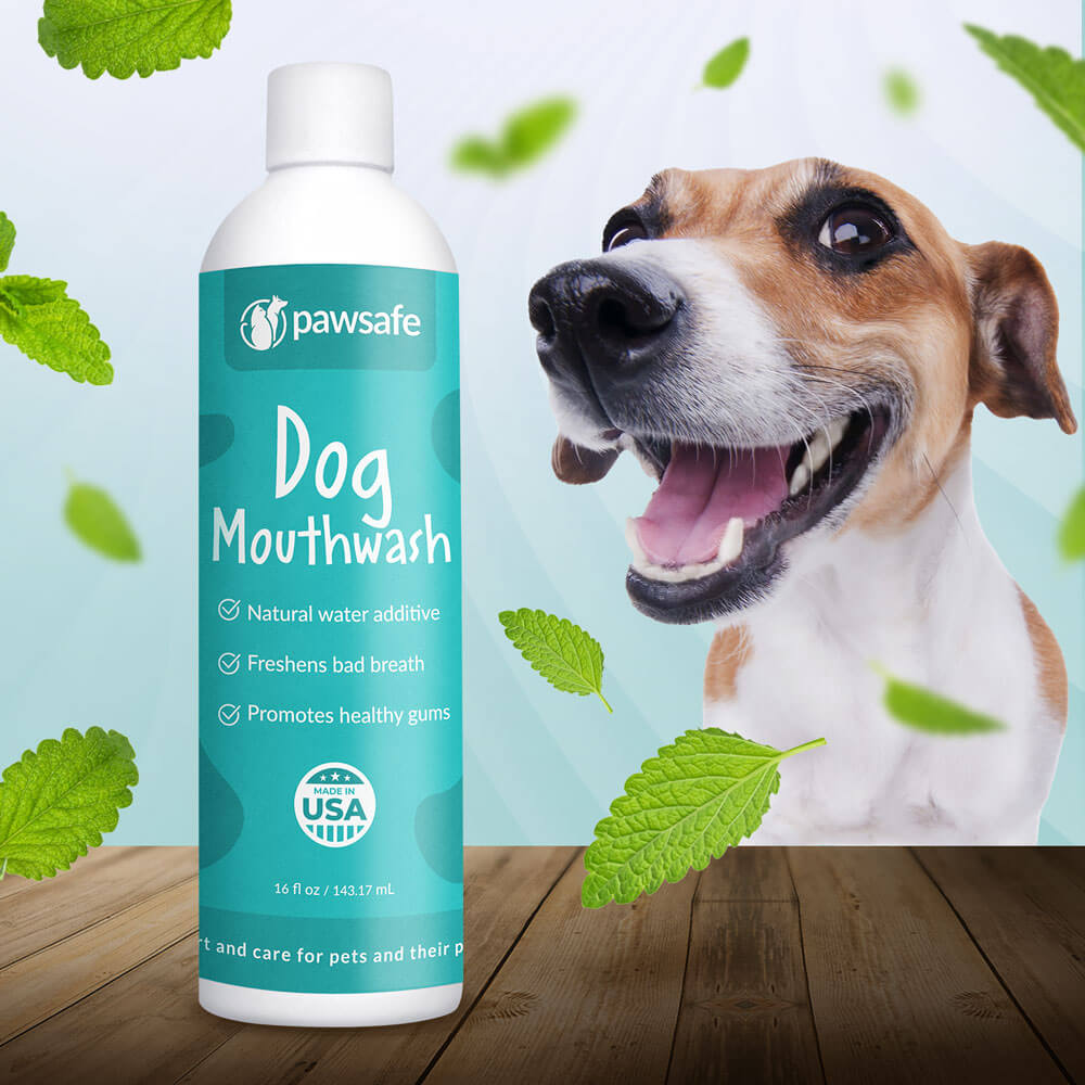 pawsafe mouthwash for you dog dental health